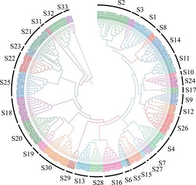 Deciphering the roles of tobacco MYB transcription factors in environmental stress tolerance